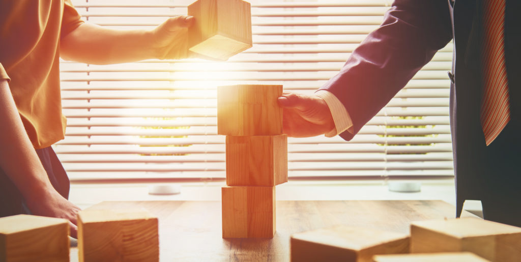 SEZ services consultants